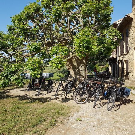 Mas Dans La Campagne Pour Loisirs Et Teletravail Villa Sarrians Dış mekan fotoğraf
